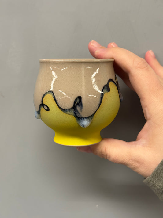 Rainbow cup 7